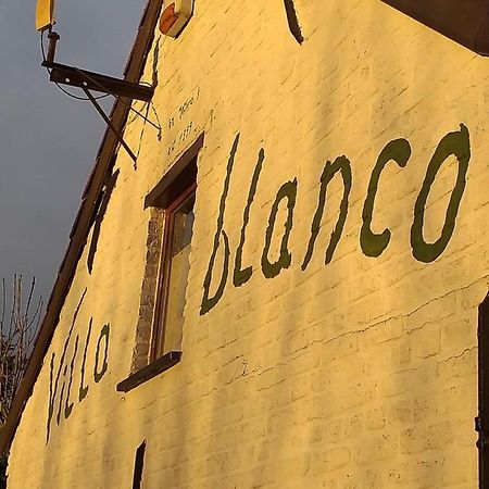 Villa Blanco Opwijk Esterno foto