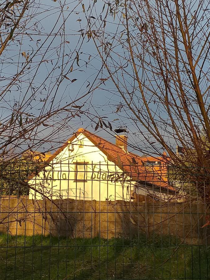Villa Blanco Opwijk Esterno foto